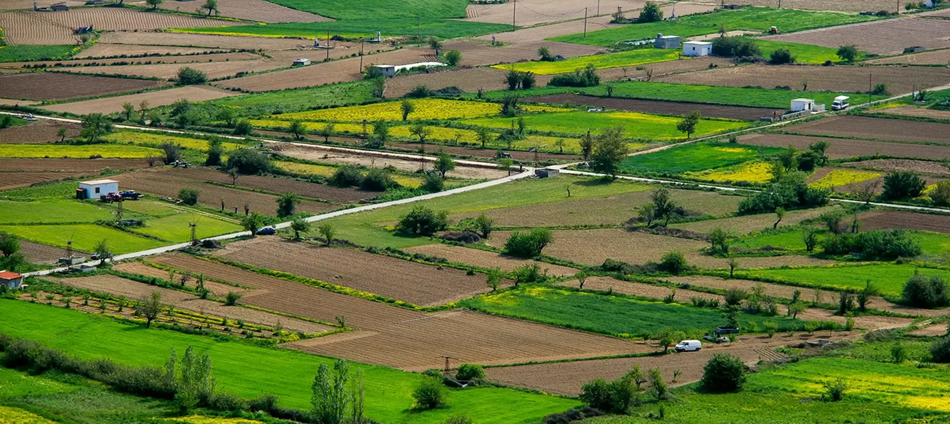  Godrej Aravya Estate